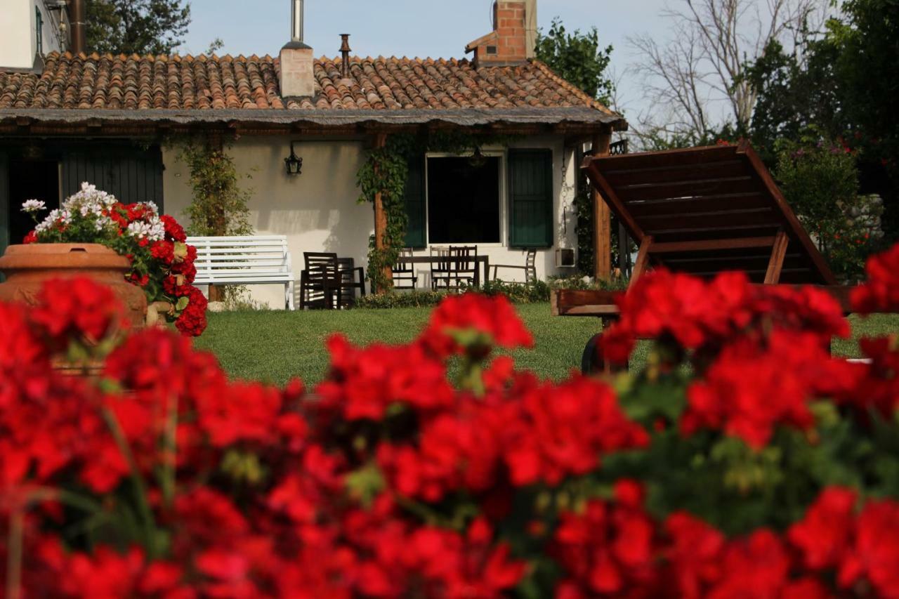 Villa Casa S.Paolo Rimini Exterior foto